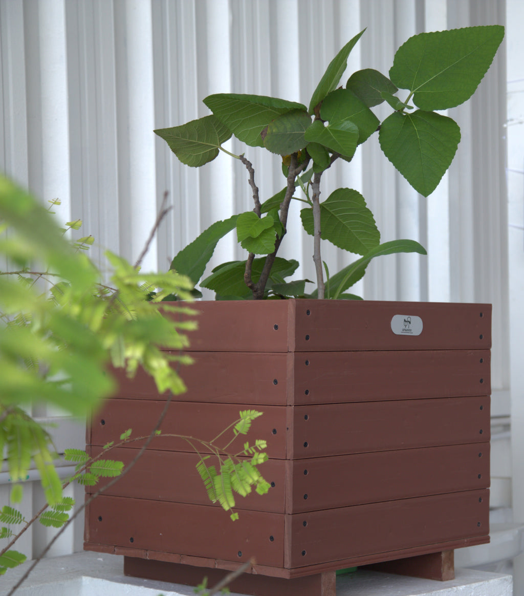Planter Box