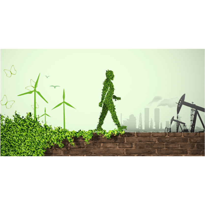 The environment